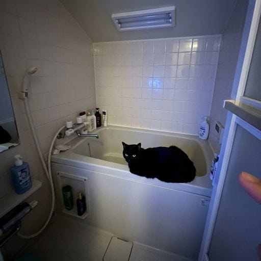 黒：窓辺に、そっと身体を寄せる。しとしとと降る雨の音が、夜のしじまに響く…。誰かを想うでもなく、ただ、過ぎる時間を眺めている…